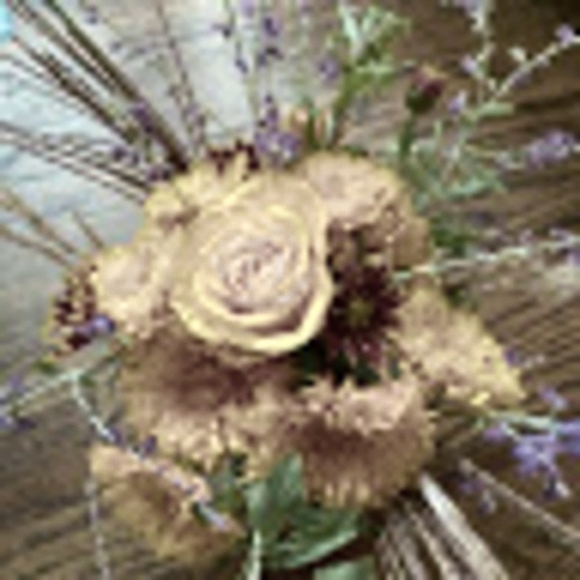 Meet your Posher, Darlene - Picture 1 of 1